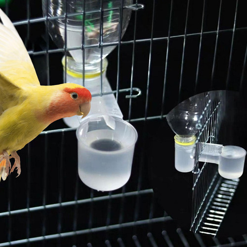 Py Suministros De Jaula De Aves De Corral Alimentador