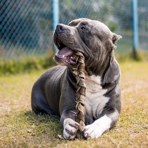 Mordedor Para Cães Natural Trança Bovina Natuka G