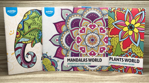 Cuaderno De Mandalas Pointer Para Colorear