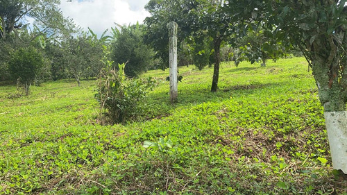 Imagem 7 de 12 de L40- Pague Pouco No Lançamento De Terrenos Em Ibiúna