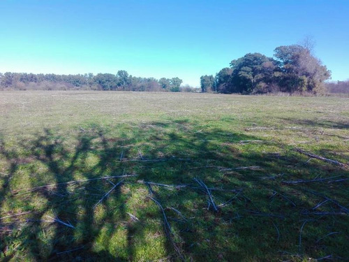 Retasado Chacra 22has Terreno Venta En Pavon Exaltación De La Cruz Pavon