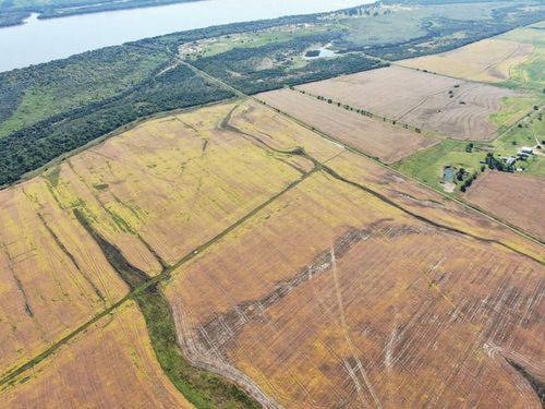 Campo En Venta Ref. 2270
