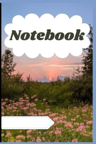 Libro De Notas - Note Book: Agenda