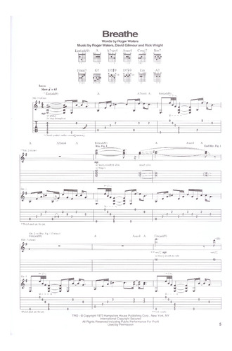 Pink Floyd: Dark Side Of The Moon, Guitar Recorded Version.
