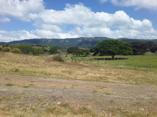 Imagen 21 de 30 de Se Vende Finca Agropecuaria De 300 Hectareas En Guarico Altagracia De Orituco Att-120