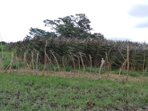 Se Vende Granja En El Estado Carabobo Ve02-1321carab-mtru