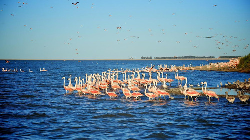 Imagen 27 de 30 de Exclusiva Isla- Laguna Del Monte- Guaminí