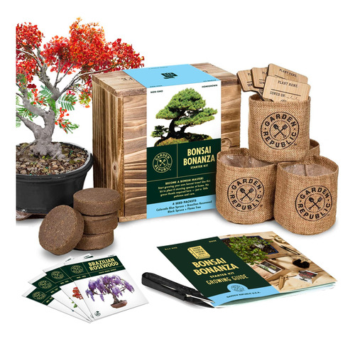 Kit De Principiantes De Semillas De Árbol Bonsai, Mini Jue.