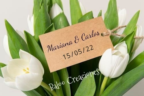 Imagen 8 de 9 de Tags Etiquetas Personalizadas Para Obsequiar X10