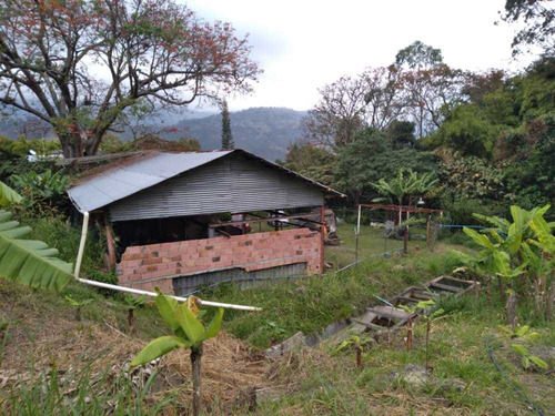 Imagen 2 de 11 de Km// Granja Con Galpón En Peribeca Sector El Ceibal