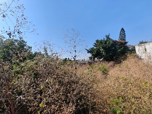 Terreno En Venta En Col. Gabriel Tepepa Con Porton Propio