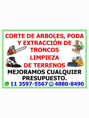 Imagen 1 de 5 de Poda Profesional Y Extracciónes Jehová Jireh