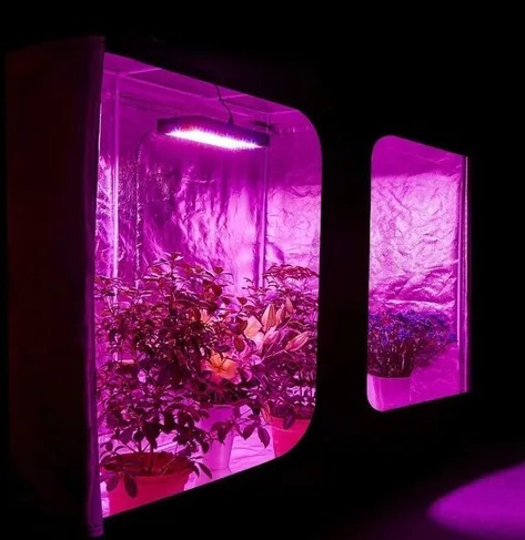 Imagem 2 de 5 de Painel Led Grow 1200w +ir+uv Cultivo Indoor Full Spectrum