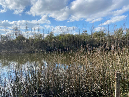 Bajo De Precio!!! Terreno A La Laguna En Acacias - Puertos Del Lago