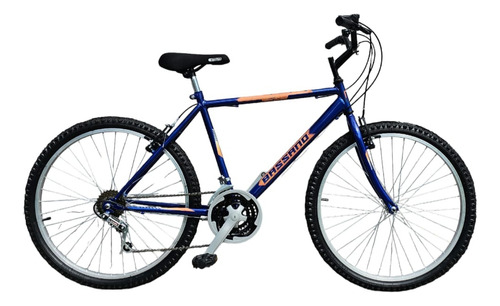 Bicicleta Mountain Bike Bassano R 26 T18 Frenos V-brakes