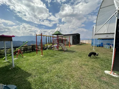 Casa Campestre En Venta En La Doctora. Cod V16255