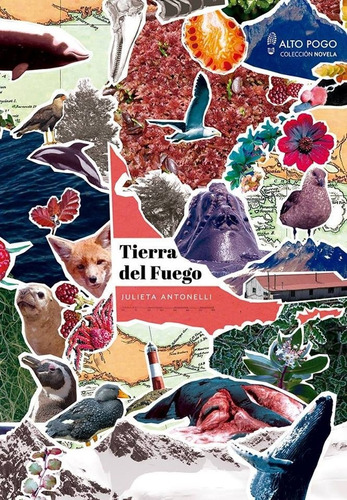 Tierra Del Fuego - Julieta Antonelli