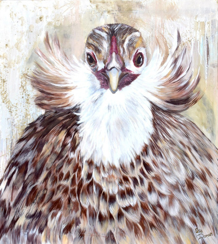 Cuadro  Gallina Araucana ,  80 X 90 Cm. Pintura Acrílica