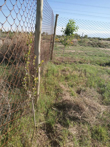 Venta Lote - El Carrizal Abajo- Lujan De Cuyo - Mendoza