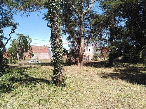 Imagen 3 de 3 de Terreno En Venta En Bosque Peralta Ramos