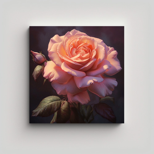Cuadro Decorativo De Flores De Rosa En Bloom 50x50cm Flores