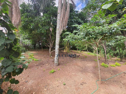 Lindo Apartamento Com 2 Dormitórios Vista Para O Bosque À Venda, 48 M² Por R$ 220.000 - Vila Rio De Janeiro - Guarulhos/sp - Ap16851