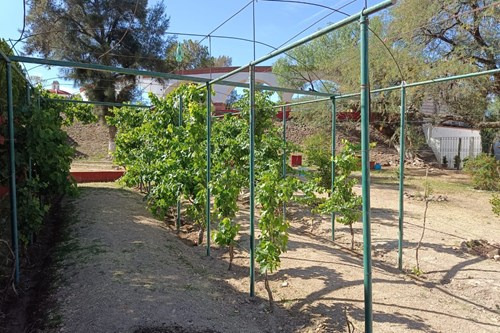 Rancho En Venta En Villas San Gabriel - Invierte Con Certeza