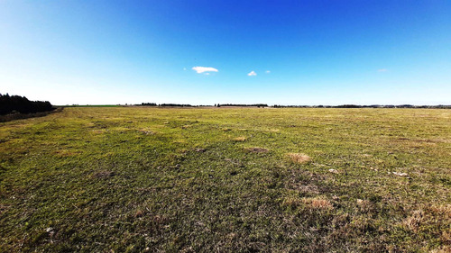 Imagen 10 de 18 de Hermosas Chacras Campos De 3 Hectareas En Tala