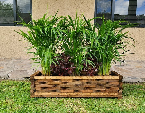 Imagen 3 de 8 de Maceta De Madera Jardinera Piña