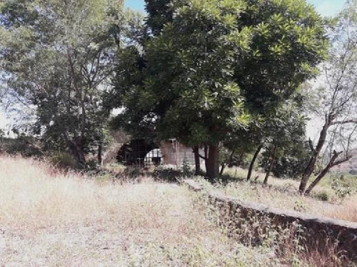 Imagen 16 de 23 de Venta De Terreno Puente De Ixtla Precio A Negociar, Con Titulo De Agua H