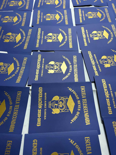 100 Folders Azul T/carta Diseño Personalizado En Serigrafía