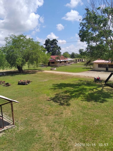 Imagen 6 de 13 de Finca Agropecuaria San Sivestre, Barinas En Venta