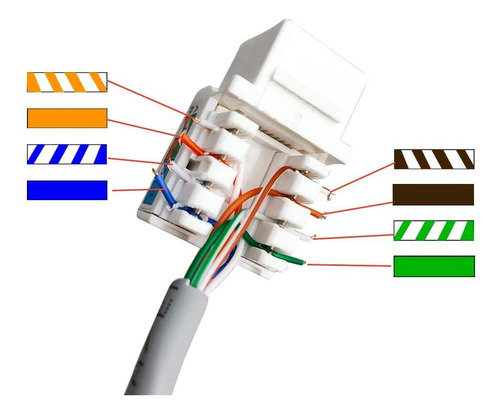 Placa De Pared Coaxial Ethernet Cat6 De 90 Grados Boplat Pun