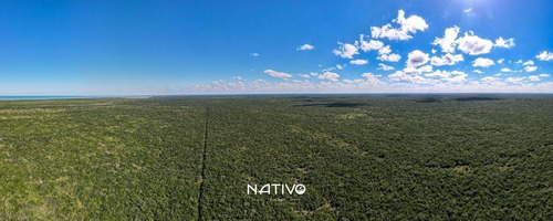 Imagen 3 de 30 de Terreno En Venta En Yucatan A 9 Min De La Playa Telchac Nati