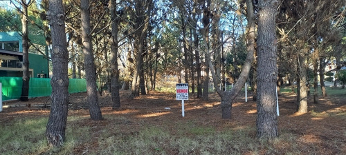 Imagen 7 de 7 de Venta. Lote En Paseo Del Bosque Von Todos Los Servicios