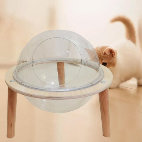 Cama Para Gatos Space Capsule Para Gatos De