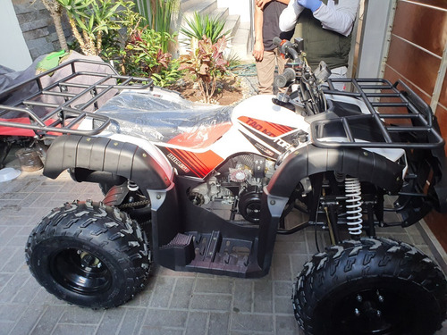 Imagen 4 de 12 de Cuatrimoto Tao Motor Bull 150 Automatica 0 Klm 2021
