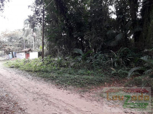 Terreno Para Venda Em Peruíbe, Guarau Garça Vermelha - 1619_2-691444