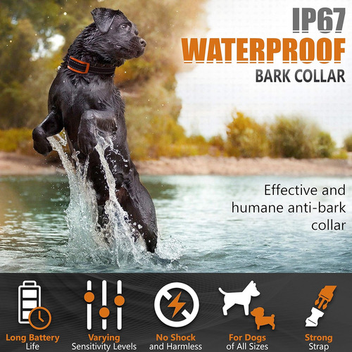 Collar Nps Para Perros Grandes, Pequeños Y Medianos, De 5 A