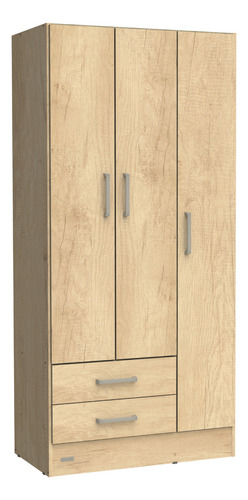 Ropero Placard 3 Puertas Express Interior Pintado Mate Color Bambu