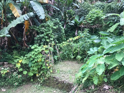 Chácara À Venda, 1800 M² Por R$ 350.000 - Jundiaizinho - Mairiporã/sp - Ch0012
