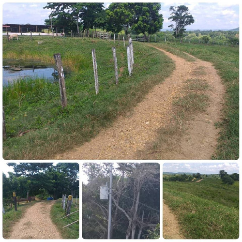 Imagen 10 de 14 de Finca En Venta En San Juan De Los Cayos