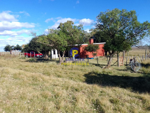 70 Hectáreas En Lavalleja