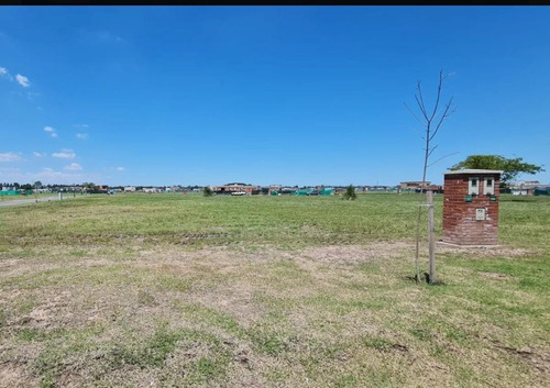 Imagen 5 de 5 de Terreno - San Simon