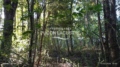 Parcela A Minutos Del Lago Caburgua (171361)