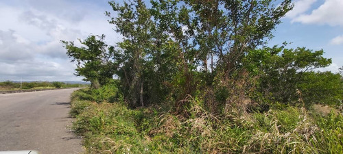Imagen 3 de 7 de Terreno Vacacional En Venta En Tucacas Morrocoy Inm-024