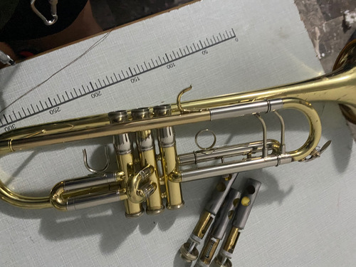 Roy Benson Tr-403 Trompeta Si Bemol Latón Laca C/estuche Dorado (Usado)