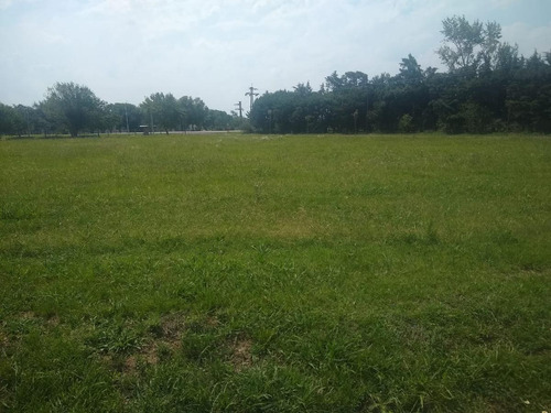 Imagen 4 de 5 de Venta Terreno En Plaza De Arco, Andino.