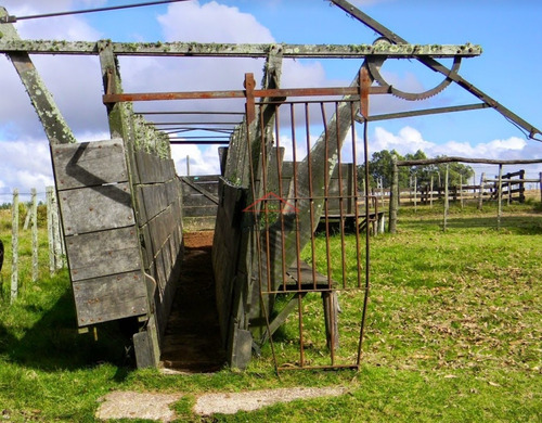 Campo En Venta 96hec- Ref: 5690