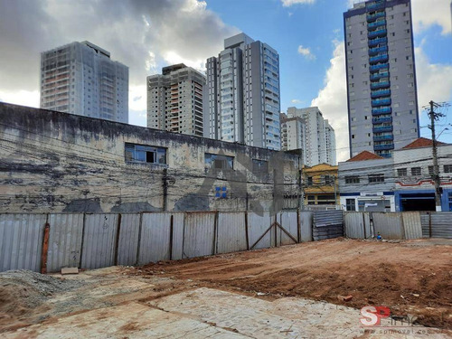 Imagem 7 de 15 de Terreno Para Alugar, 300 M² Por R$ 10.900,00/mês - Tatuapé - São Paulo/sp - Te0010